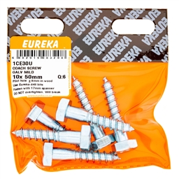 1CE30 - Coach Screw